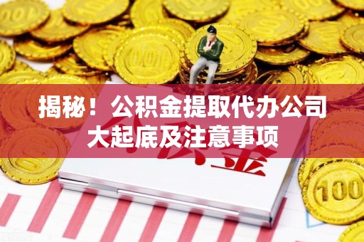宁国揭秘！公积金提取代办公司大起底及注意事项